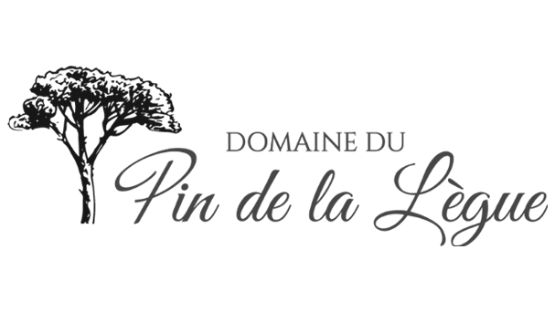 logo domain du pin de la legue